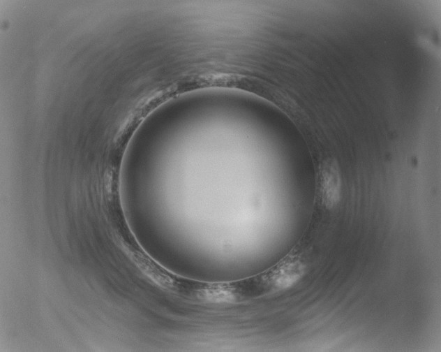 X0000052940668200507081145