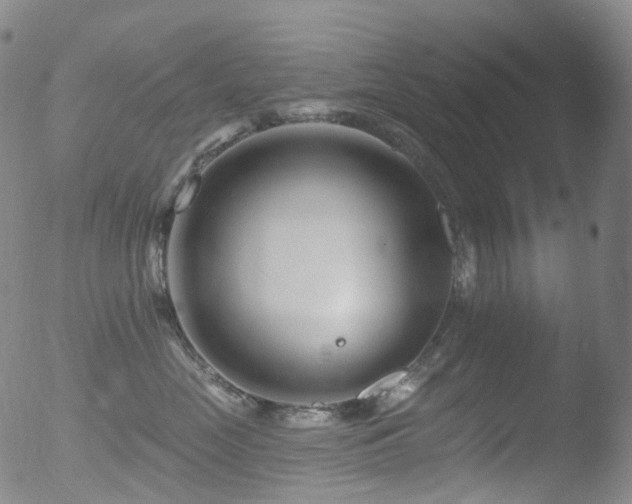 X0000052940669200507081145