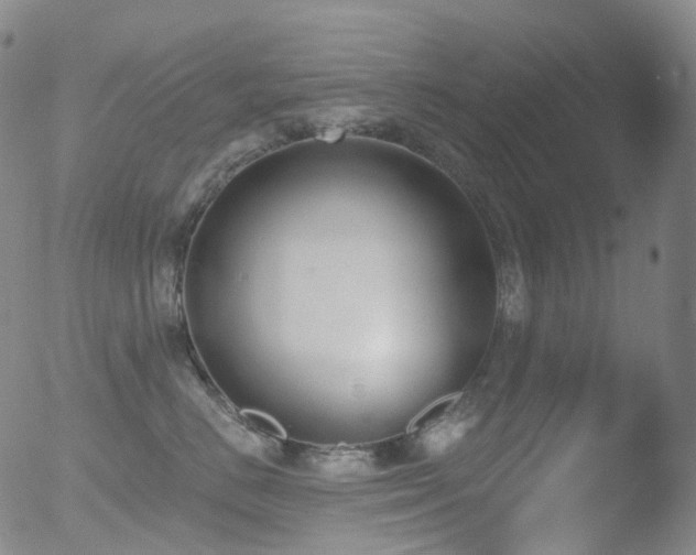 X0000052940670200507081145