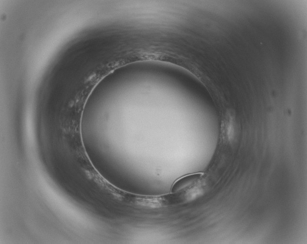 X0000052940671200507081145