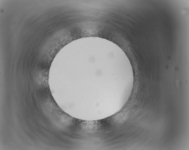 X0000052940672200507081145