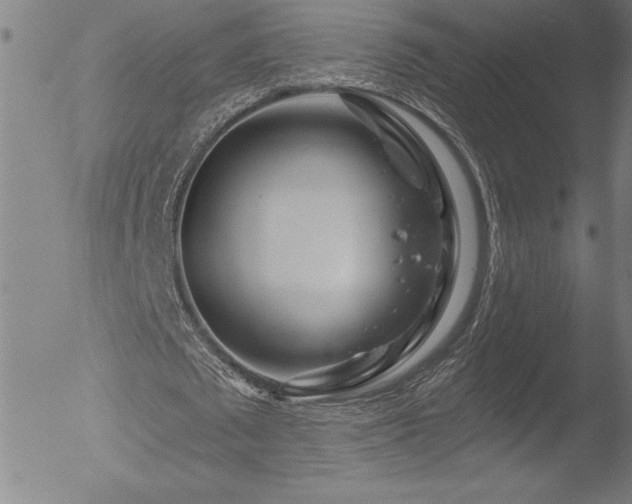 X0000052940673200507081145