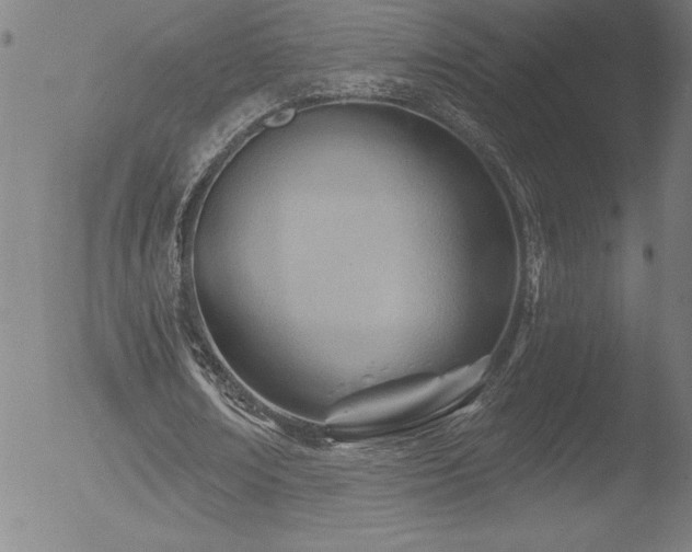 X0000052940674200507081145