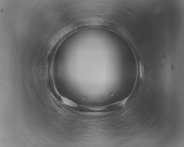 X0000052940675200507081145