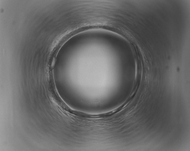 X0000052940676200507081145