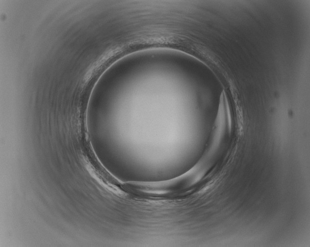 X0000052940677200507081145