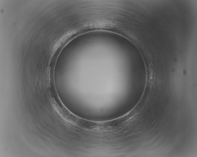 X0000052940678200507081145