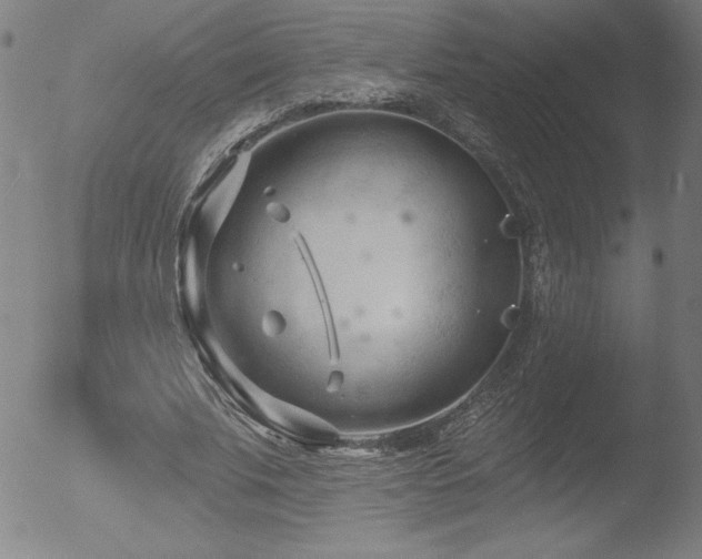 X0000052940679200507081145