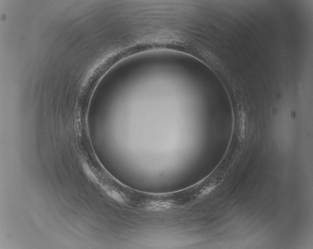 X0000052940680200507081145