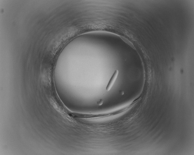 X0000052940681200507081145