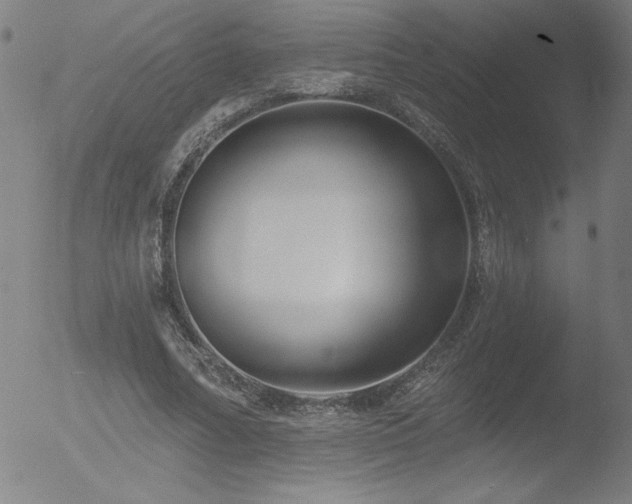 X0000052940682200507081145