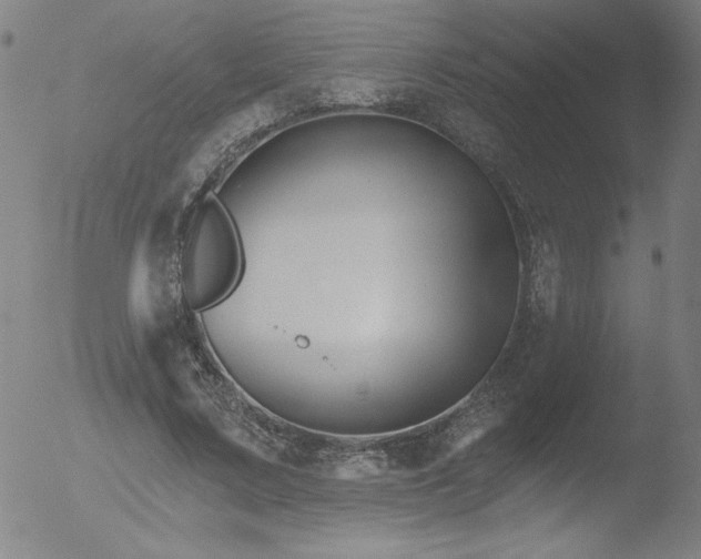 X0000052940683200507081145