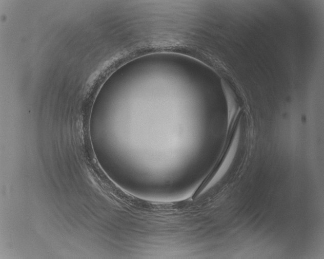 X0000052940684200507081145