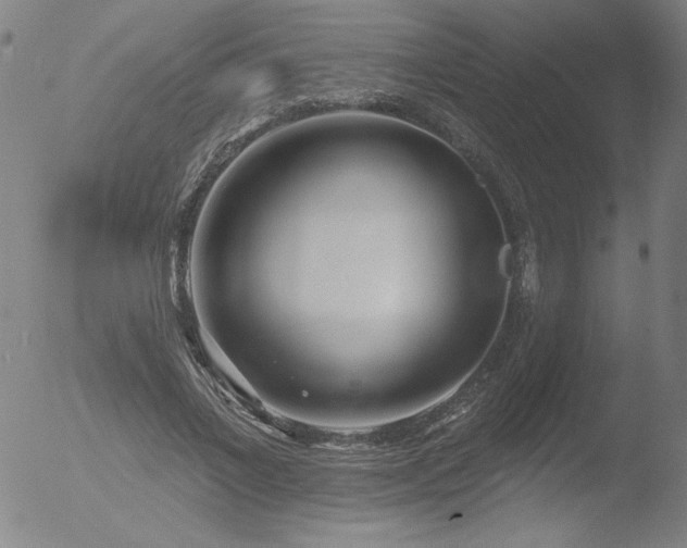 X0000052940685200507081144