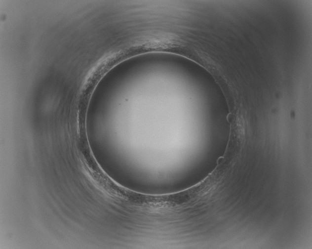 X0000052940686200507081144