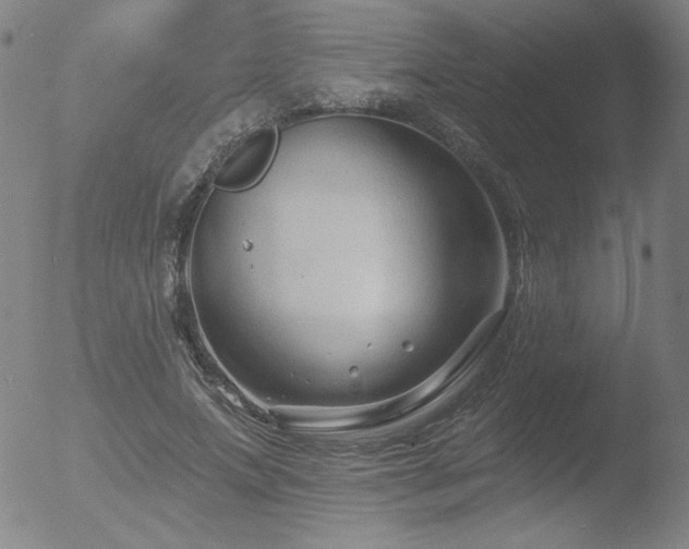 X0000052940687200507081144