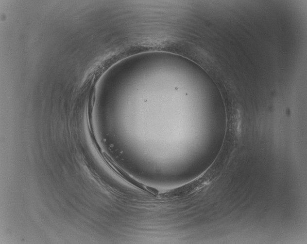 X0000052940688200507081144