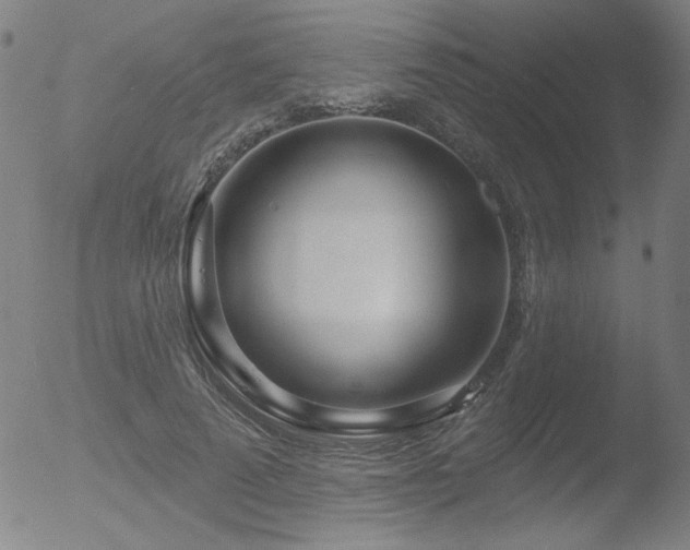 X0000052940689200507081144