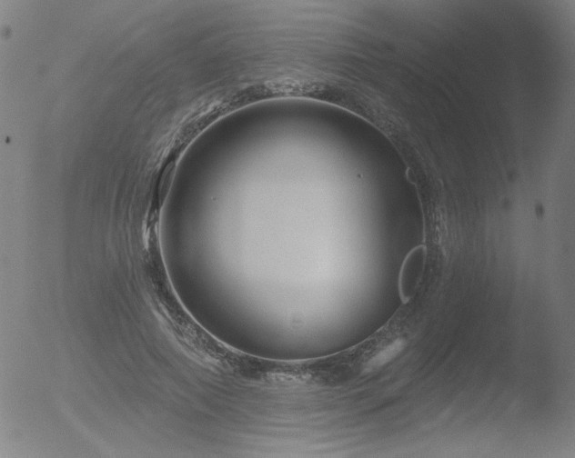 X0000052940690200507081144