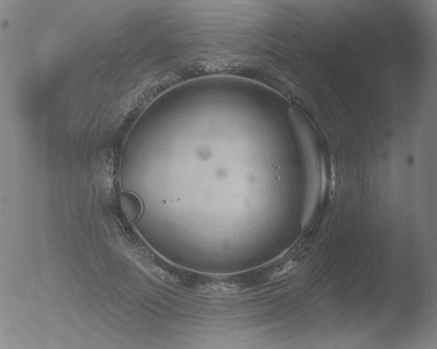 X0000052940691200507081144