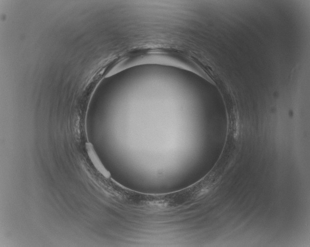 X0000052940692200507081144