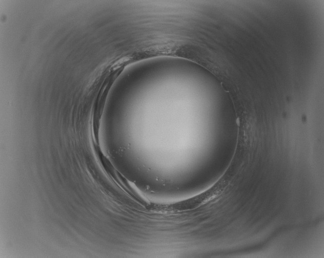 X0000052940693200507081144