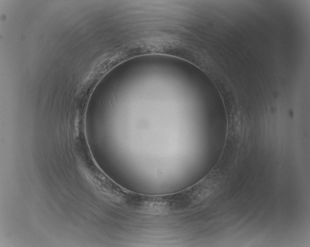 X0000052940694200507081144