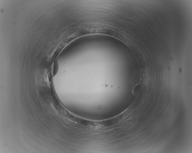 X0000052940695200507081144