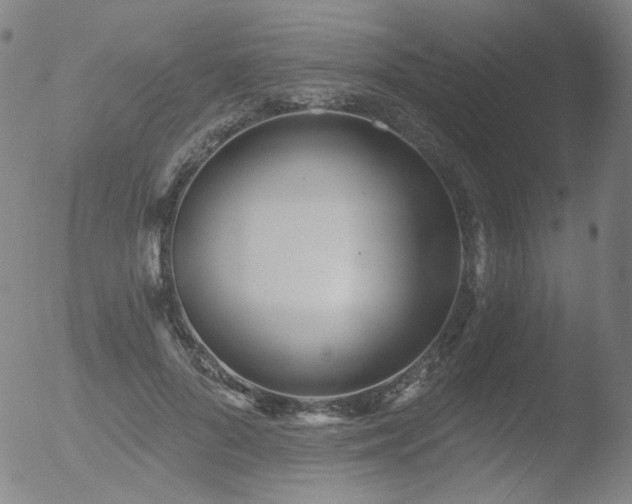 X0000052940696200507081144