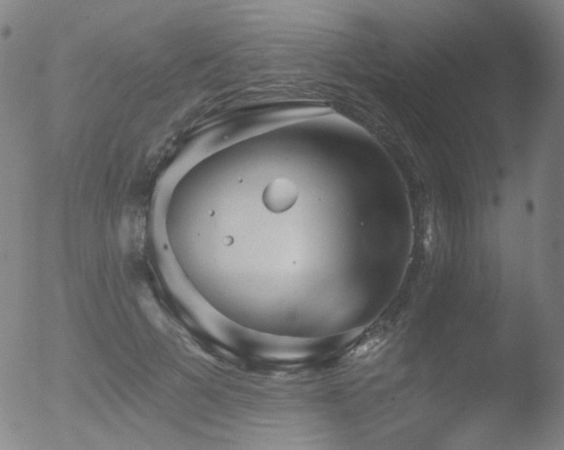 X0000052940697200507081144