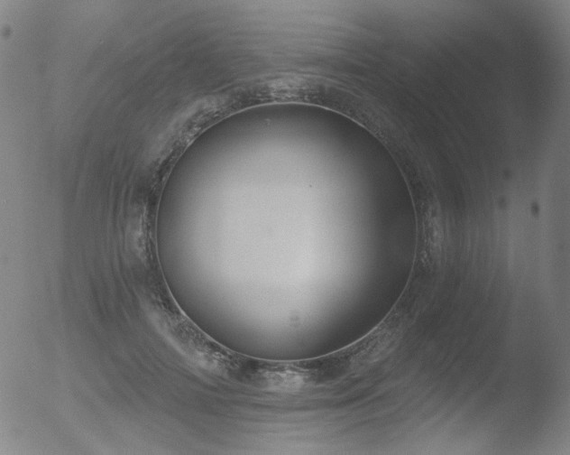 X0000052940698200507081144