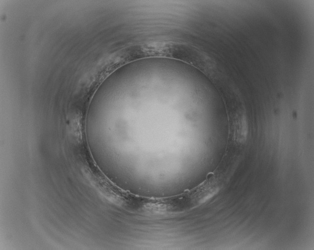 X0000052940699200507081144