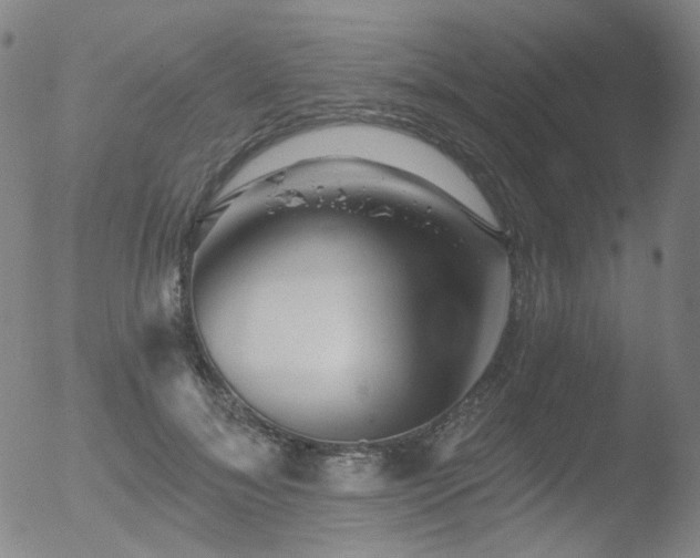 X0000052940700200507081144