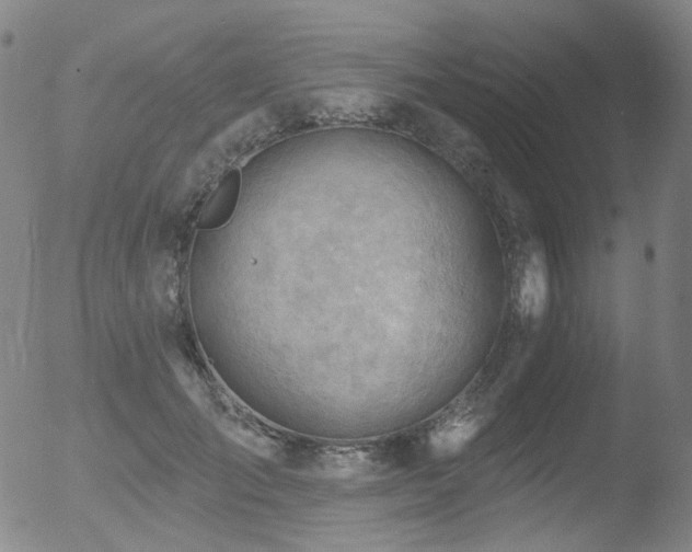 X0000052940701200507081144