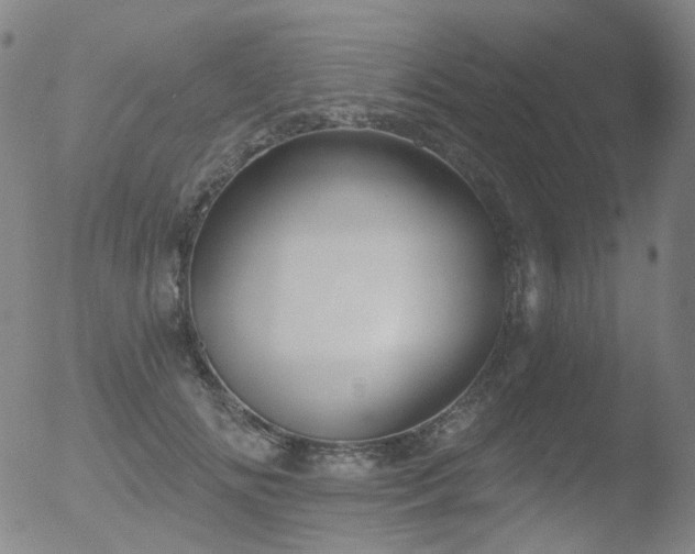 X0000052940702200507081144