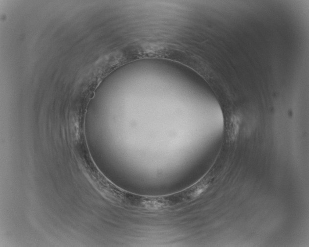 X0000052940703200507081144