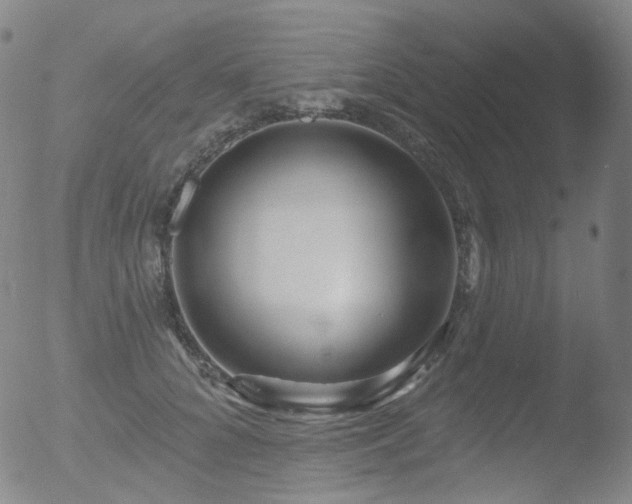 X0000052940704200507081144