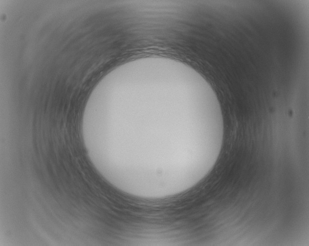 X0000052940705200507081144