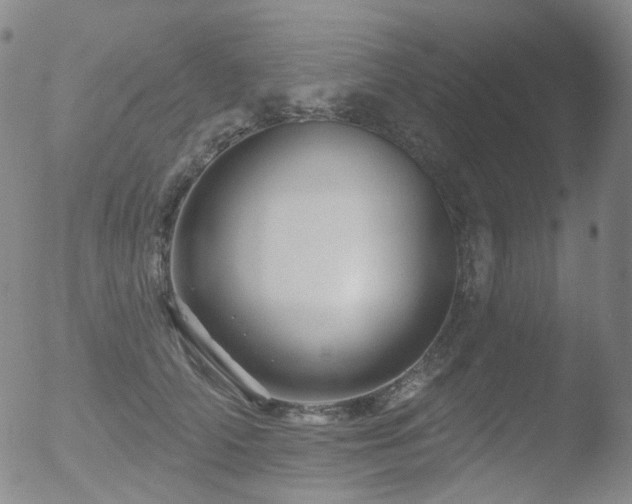 X0000052940706200507081144