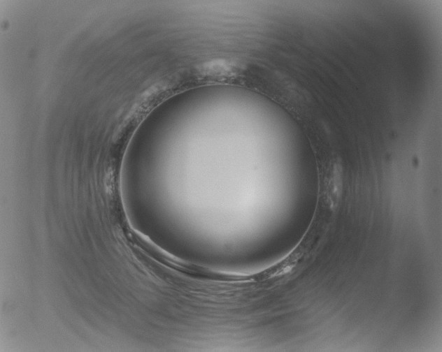 X0000052940708200507081144