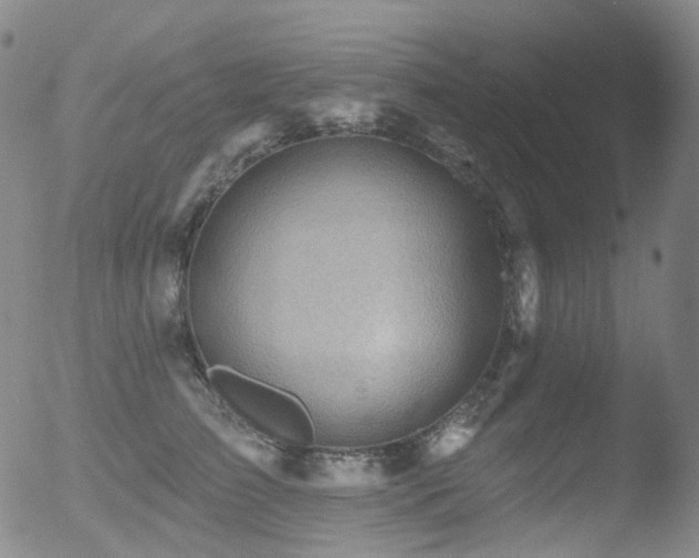 X0000052940709200507081144