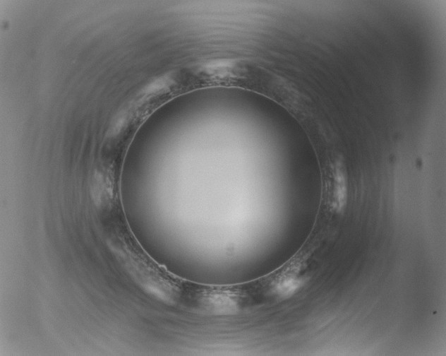 X0000052940710200507081144