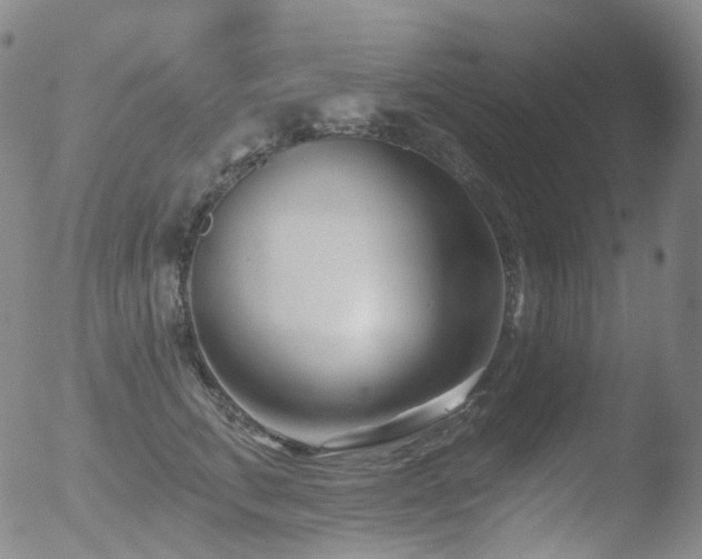 X0000052940711200507081144