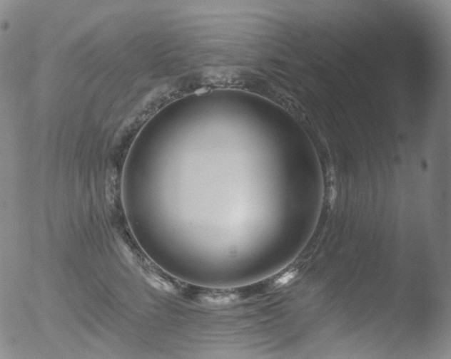 X0000052940712200507081144