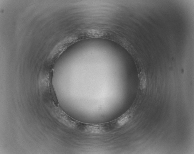 X0000052940713200507081144