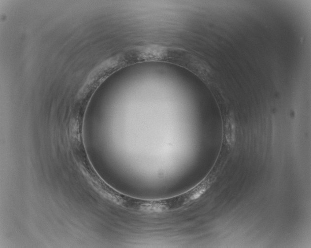 X0000052940714200507081144