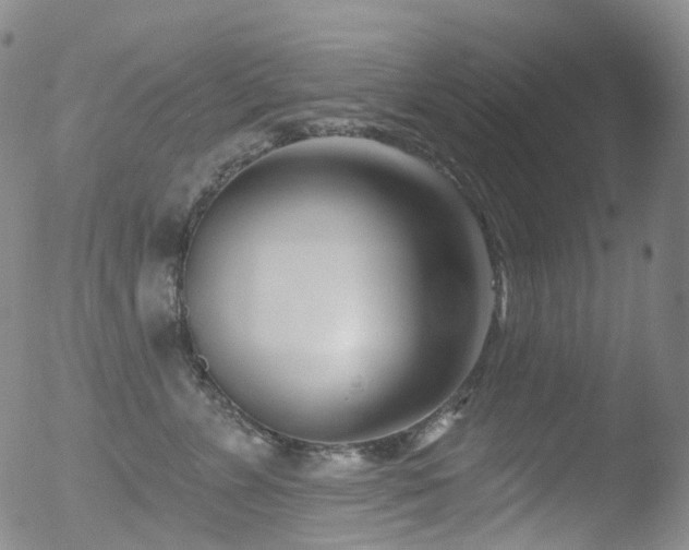 X0000052940715200507081144