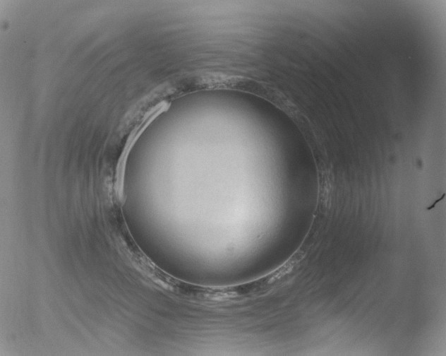 X0000052940716200507081144