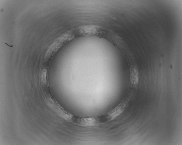 X0000052940717200507081144