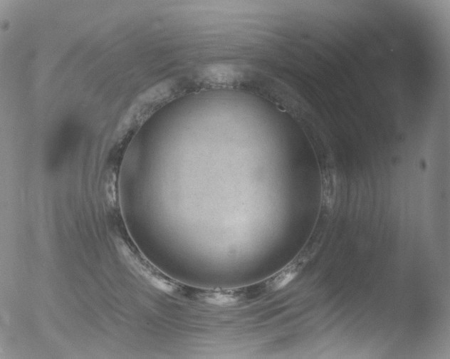 X0000052940718200507081144